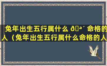 兔年出生五行属什么 🪴 命格的人（兔年出生五行属什么命格的人女孩）